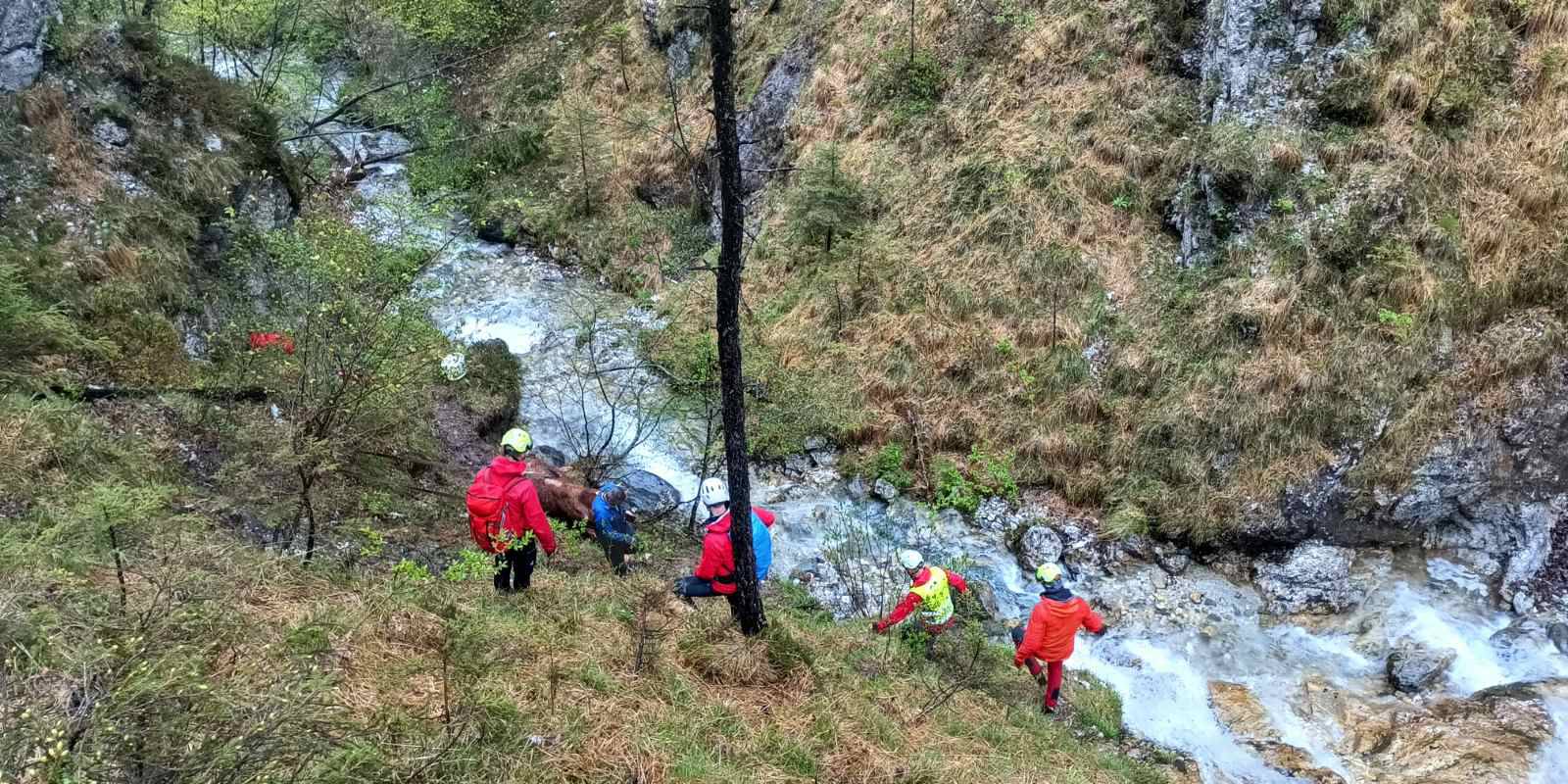VIDEO Bik u Sloveniji upao u potok: 'Spašavala ga je gorska služba, izvlačio ga helikopter'