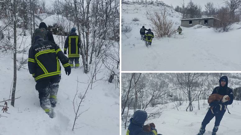 Satima se probijali kroz snijeg da spase pse na Dinari: 'Na rukama smo ih nosili vlasniku'