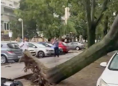 FOTO Neviđeni kaos u Zagrebu i okolici: Vjetar čupao stabla i dizao krovove po cijelom gradu