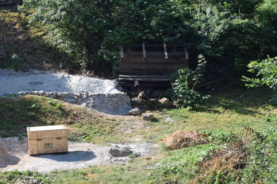 Medo Matija, mladunče-siroče, napokon je stigao u utočište