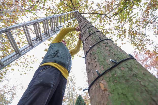 Zagreb: Zasvjetlile prve adventske lampice u parku Zrinjevac