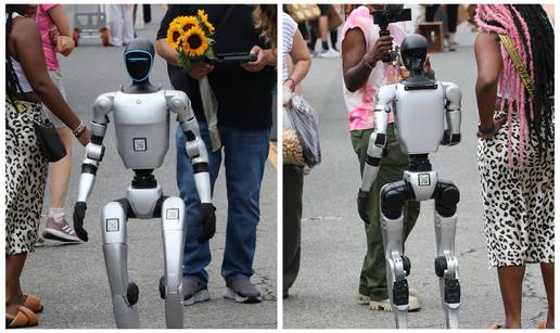 Stari, idemo vidjeti kaj ima na Dolcu. Kažu da su mandarine najbolje za čipove...