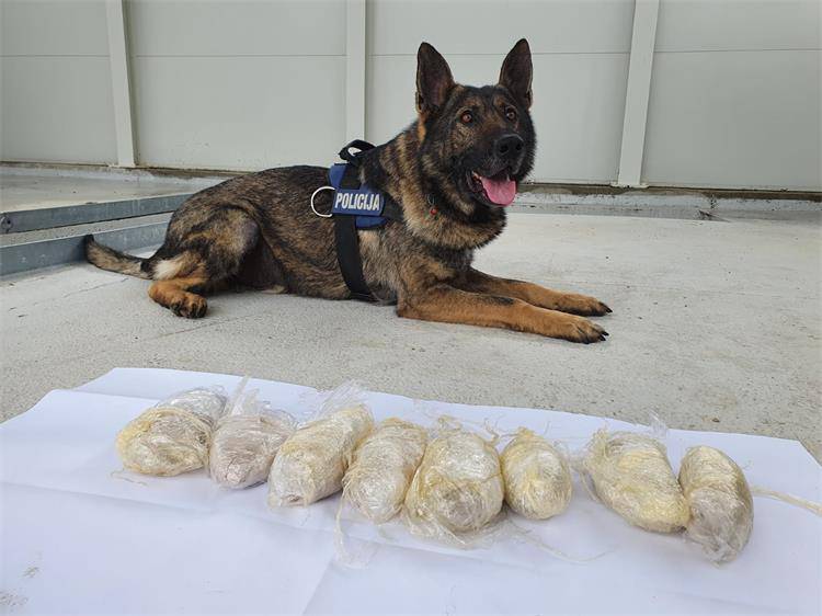 Imotski: Policija uz pomoć psa Wolfa pronašla kilu heroina