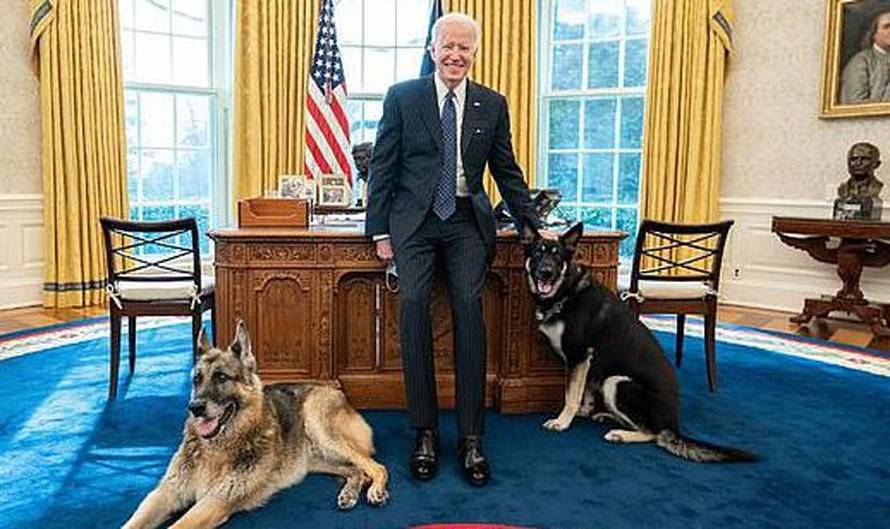 Tuga u obitelji američkog predsjednika, napustio ih je voljeni njemački ovčar Champ