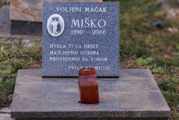 Rijeka: Groblje kućnih ljubimaca na blagdan Svih svetih