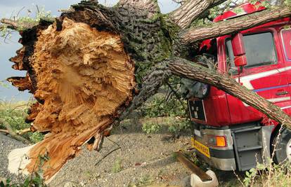 Stoljetno stablo uništilo je kamion, raketa pogodila kuću