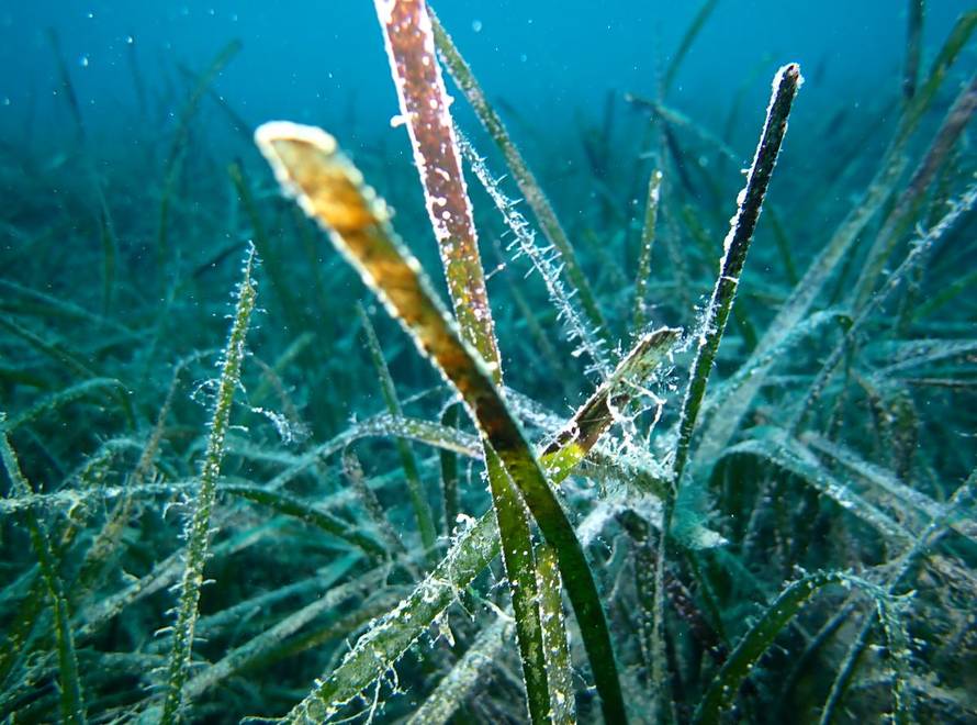 Prijavi se na foto-natječaj i pokaži nam kako Jadran izgleda kroz tvoje oči!