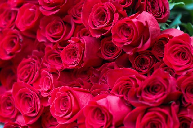 Zagreb: Bogat izbor cvijeća i cvjetnih aranžmana povodom Valentinova