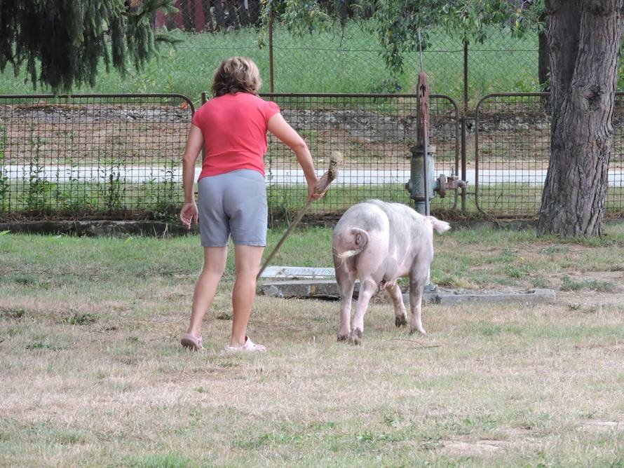 Mihael Hnatyšyn/24sata