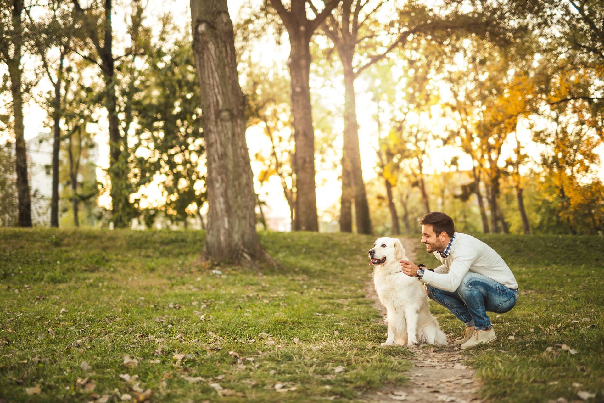 Man,Spending,Time,With,His,Dog,In,The,Park.