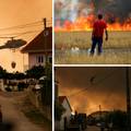 Toplinska apokalipsa: Ekstremne vrućine guše Europu, ljudi umiru, bijesne veliki požari