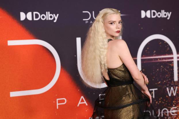 Premiere of the film "Dune: Part Two" in New York City