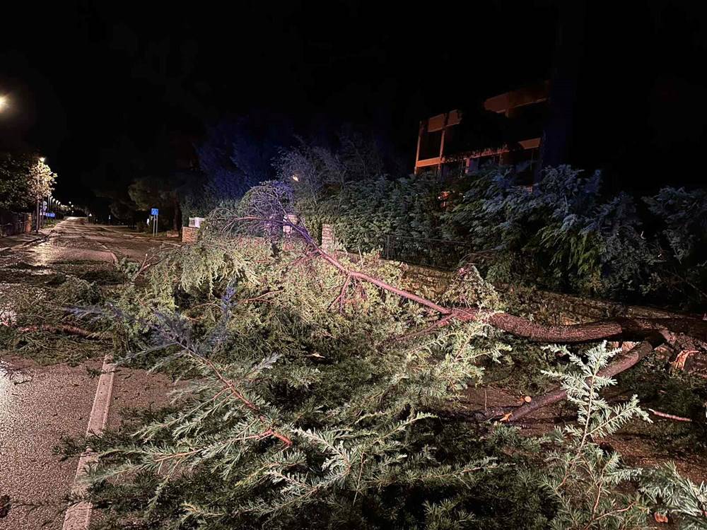 Jako nevrijeme s obilnom kišom sručilo se na Rovinj: Vatrogasci su imali preko 30 intervencija