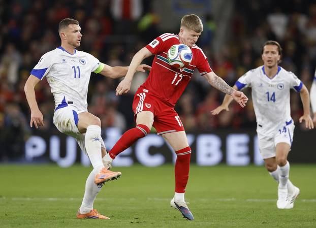 FIFA World Cup - UEFA Qualifiers - Semi Final - Wales v Bosnia and Herzegovina