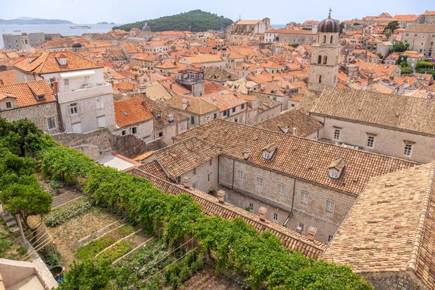 Dubrovnik: Vrtovi franjevačkog samostana