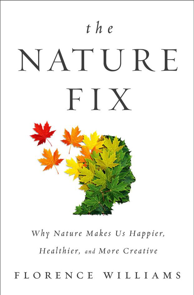 NatureFix_2 with frame.jpg