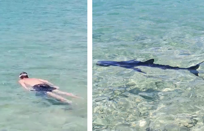 VIDEO Ronioc iz Tisnog zaplivao s morskim psom: 'Ohrabrio sam se i skočio, bilo je nezaboravno'