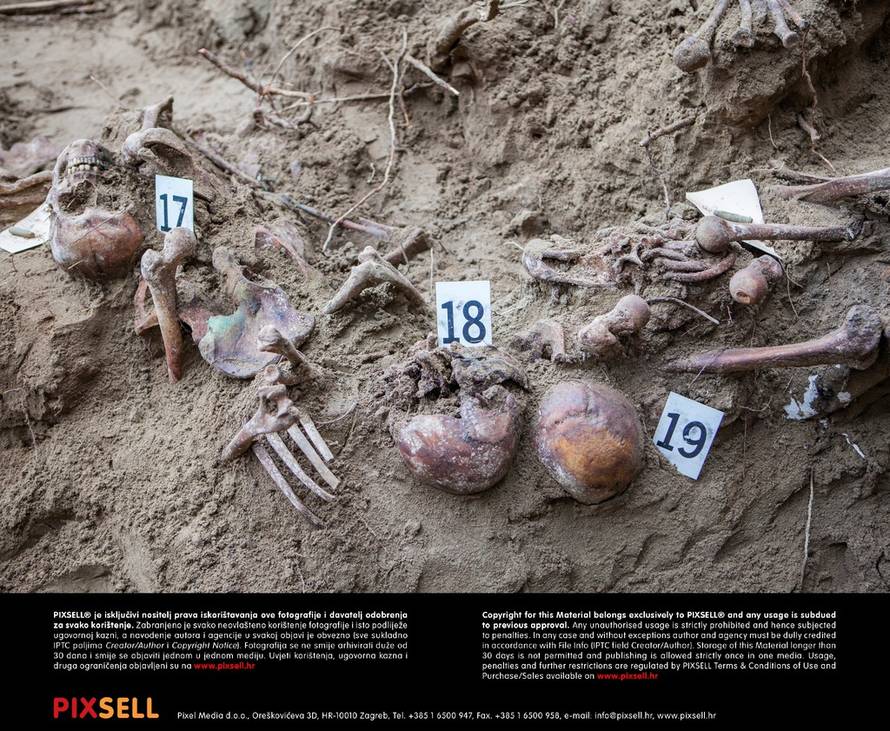 Grgo Jelavić/PIXSELL