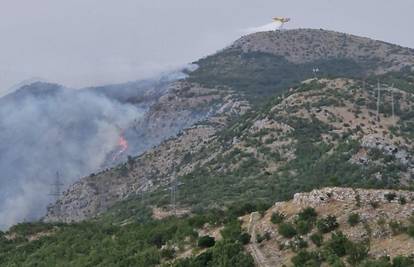 Veliki požar kod Cavtata: Jaki vjetar dodatno otežava situaciju