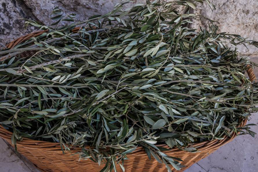 Split: Splitsko makarski nadbiskup Zdenko Križić predvodio misu na Cvjetnicu u katedrali sv Dujma