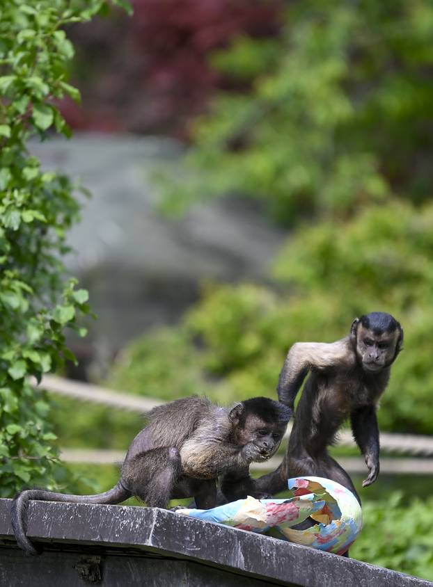 Zagreb: Podjela pisanica uz edukativni pogram za djecu u zoološkom vrtu