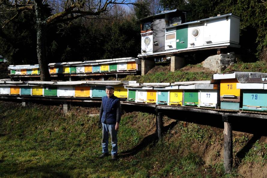 Pčele u veš-mašini: Slavonski pčelar radi jedinstvene košnice