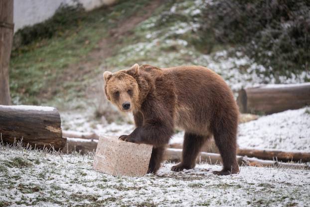 Zagreb: Podjela darova životinjama u Zoološkom vrtu
