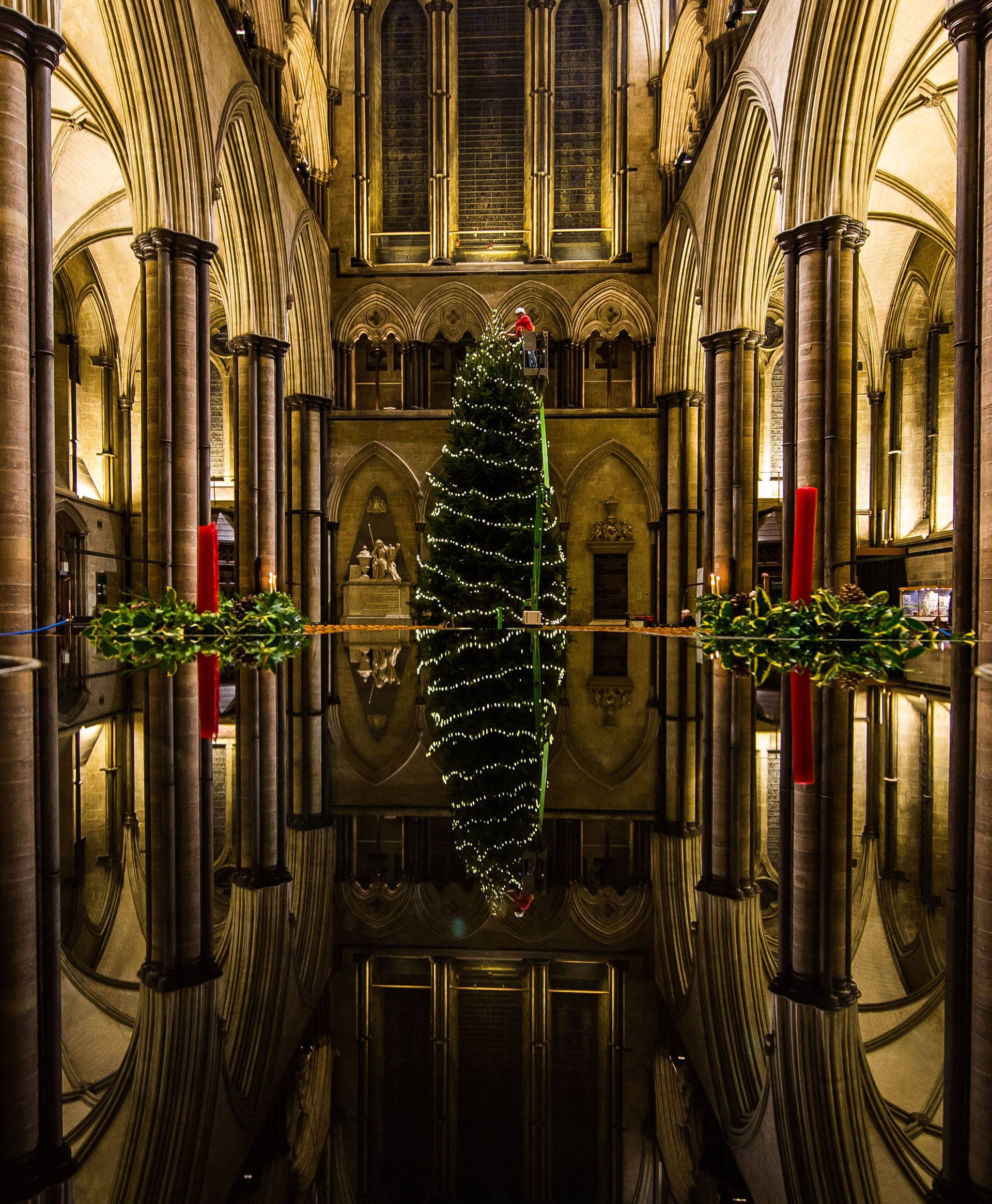 Salisbury Cathedral Christmas Tree