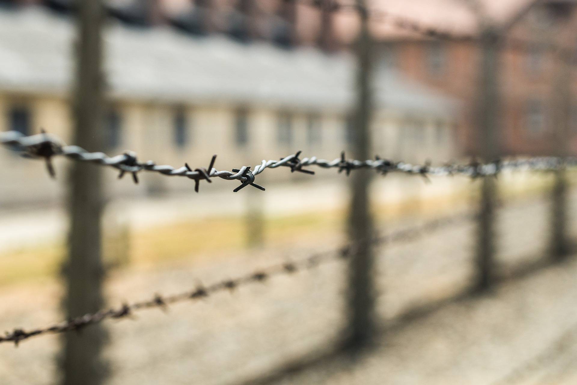 Inovativan i dinamičan webinar o holokaustu kao korak prema tolerantnijem društvu