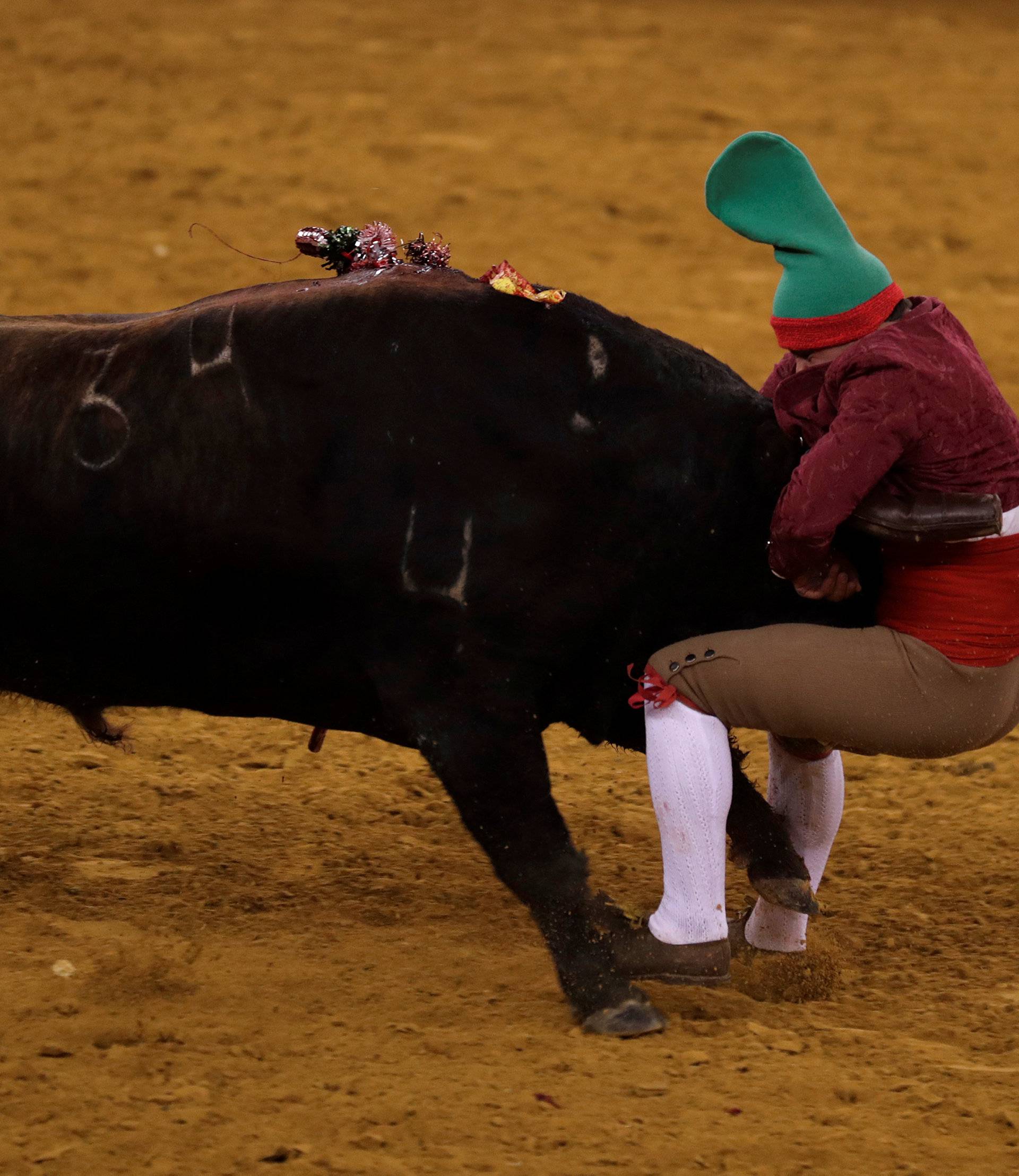 Members of Montemor forcados group perform during a bullfight at Campo Pequeno bullring in Lisbon