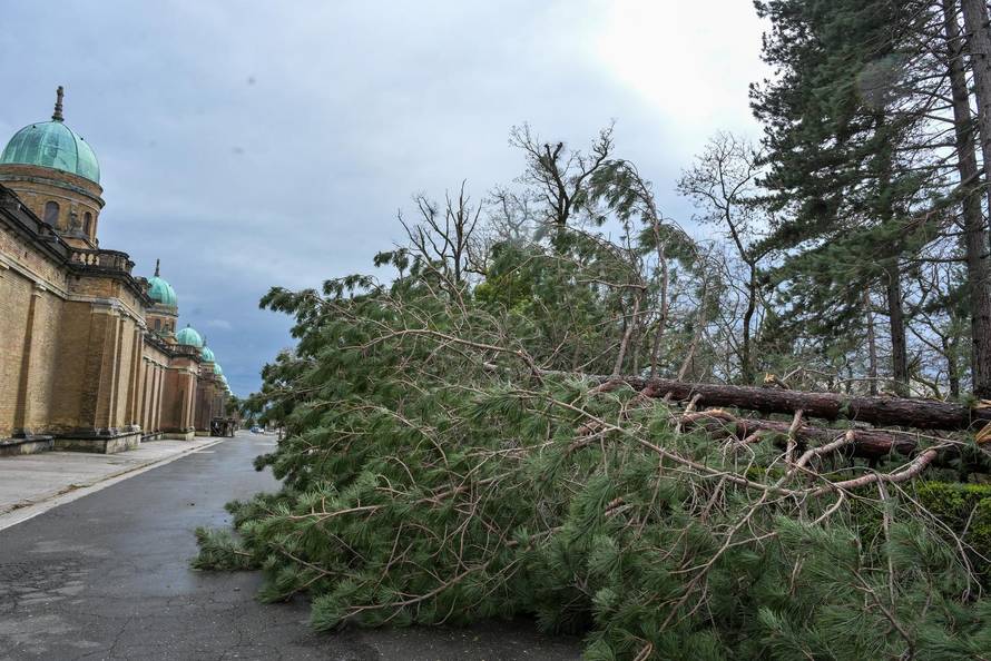 Zagreb: U nevremenu teško  oštećeno gradsko groblje Mirogoj