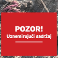 'Mrtvi psi vise s grana, &zcaron;ivi jedu trule iznutrice, a oko njih gmi&zcaron;u &scaron;takori i sve strahovito smrdi'