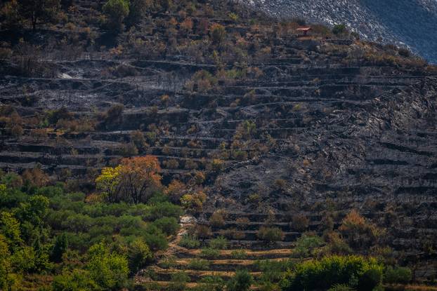 Žrnovnica: Zgarišta po obroncima Mosora