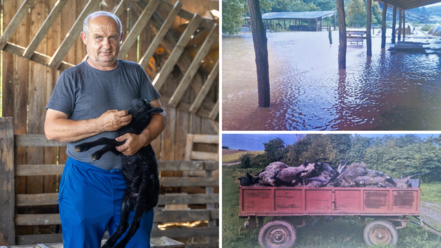 Tuga farmera kraj Đakova: 'Lani je došla poplava u lipnju i ubila mi janjce, ove godine ista priča'