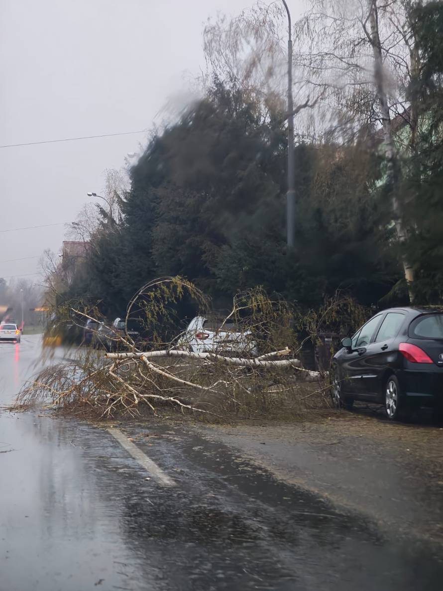Evo koliko su vatrogasci imali intervencija zbog oluje