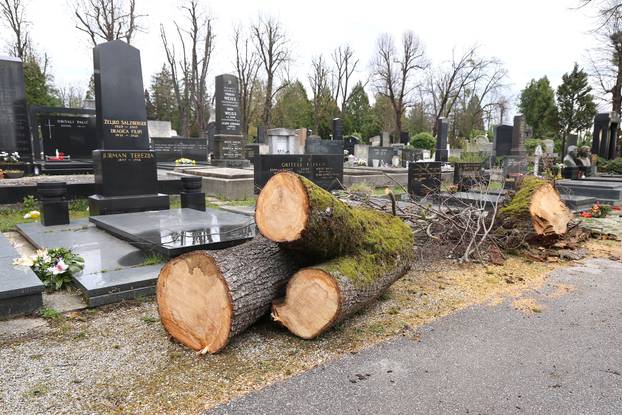 Zagreb: Posljedice velikog nevremena na Mirogoju