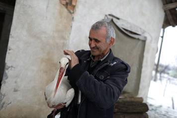 Bulgarian farmer Ismail holds a stork that he saved in the village of Zaritsa