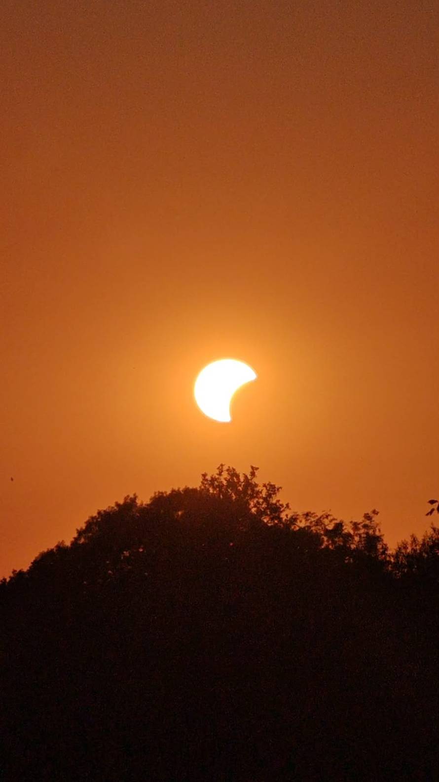 NASA imala prijenos pomrčine, Ukrajinci poludjeli kad su vidjeli kartu: Što ste učinili s Krimom?!