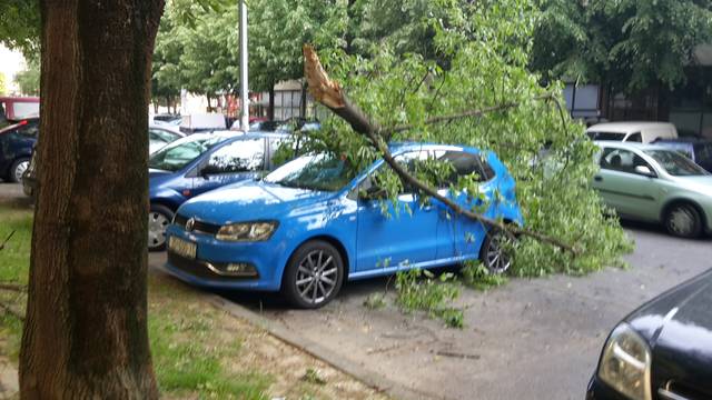 Nevrijeme u Zagrebu rušilo stabla, grom zapalio štagalj