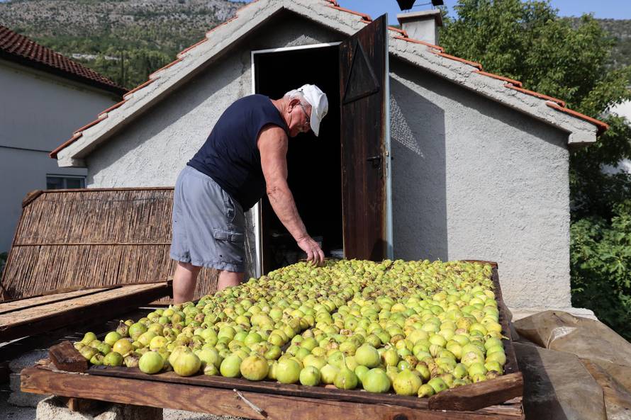 Suha smokva kao suho zlato: Cijena kilograma ide i do 10 €!