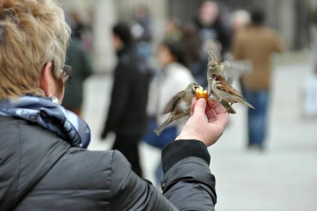 Pogledajte kako izgleda jesen u Parizu: Zaista je predivno!