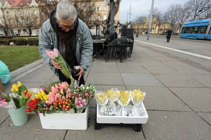 Mirisi proljeća: U Zagrebu na ulici prodaju tulipane i mimoze