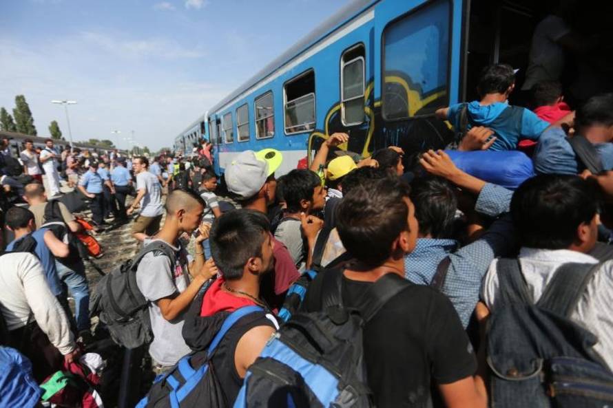 Željko Lukunić/Pixsell