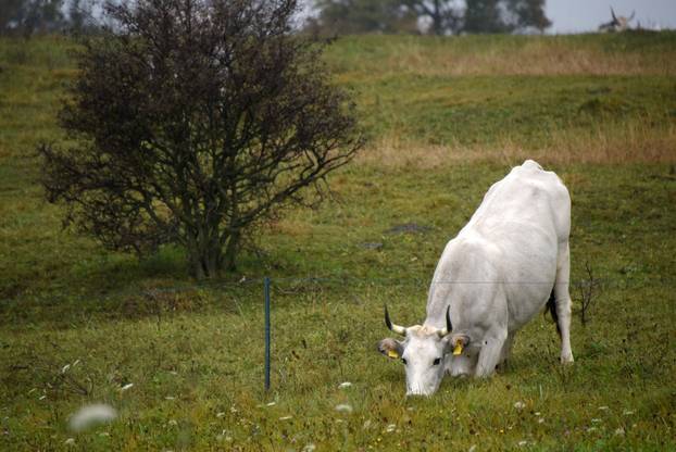 Vodice: Jesenja mističnost Ćićarije