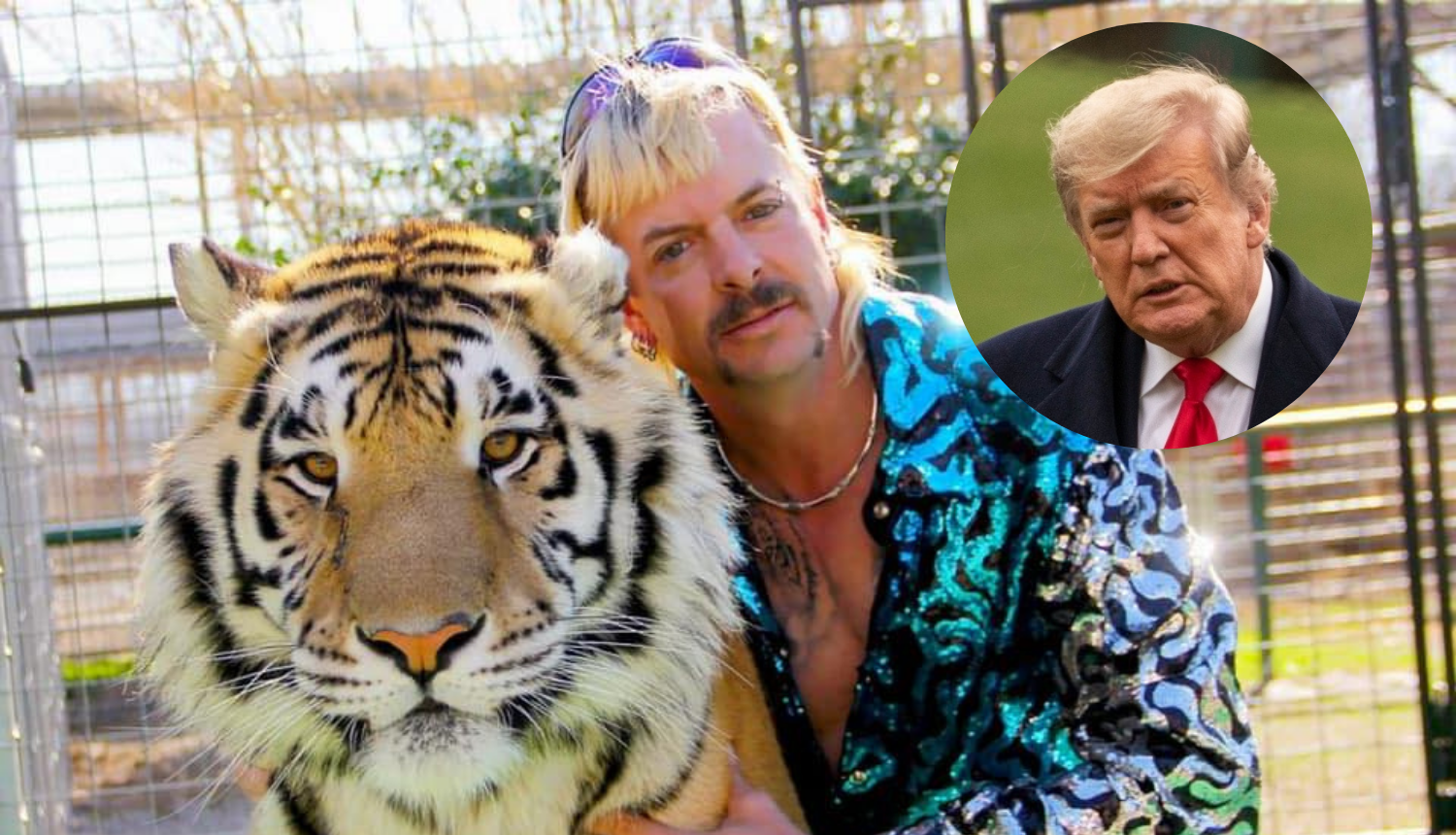 Joe Exotic moli Trumpa: 'Prije nego što odeš, pomiluj me!'