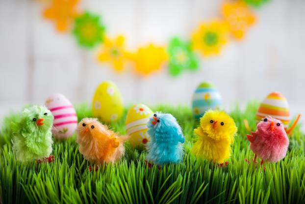 Easter chicks