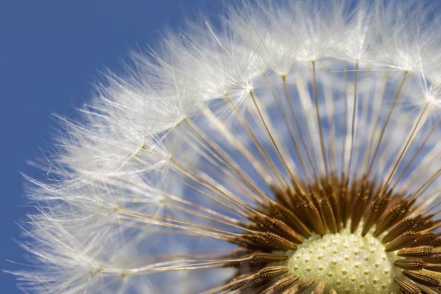 TOP 100 fotografija u 2024. godini
 