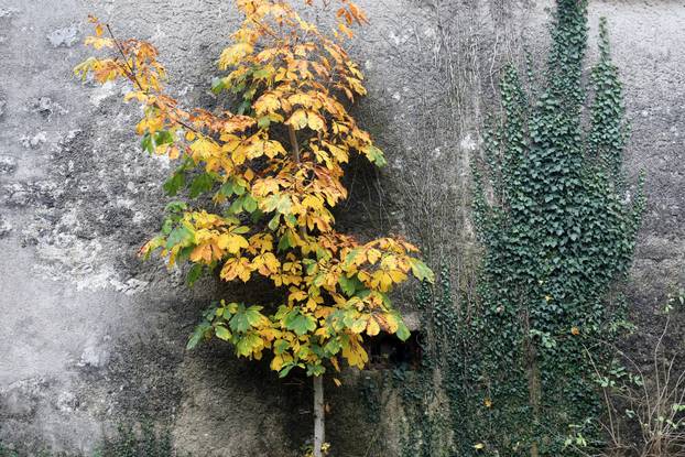 Vodice: Jesenja mističnost Ćićarije