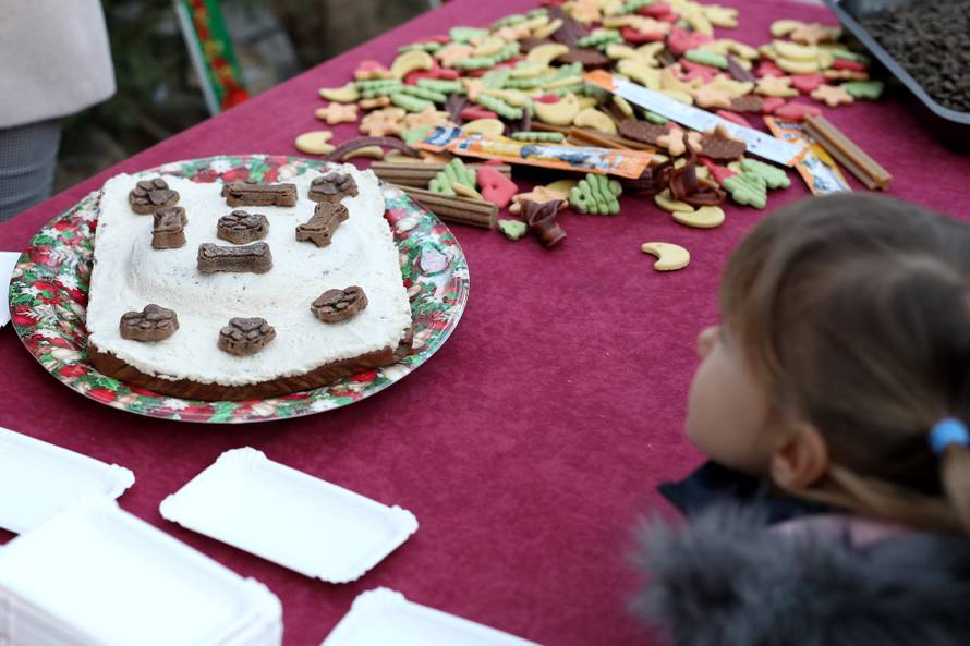 U Crikvenici održan Dog New Year's party, novogodišnji party za četveronožne ljubimce