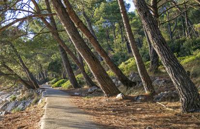 BBC nahvalio Lošinj: Iscjeljujući otok fantastične kvalitete zraka